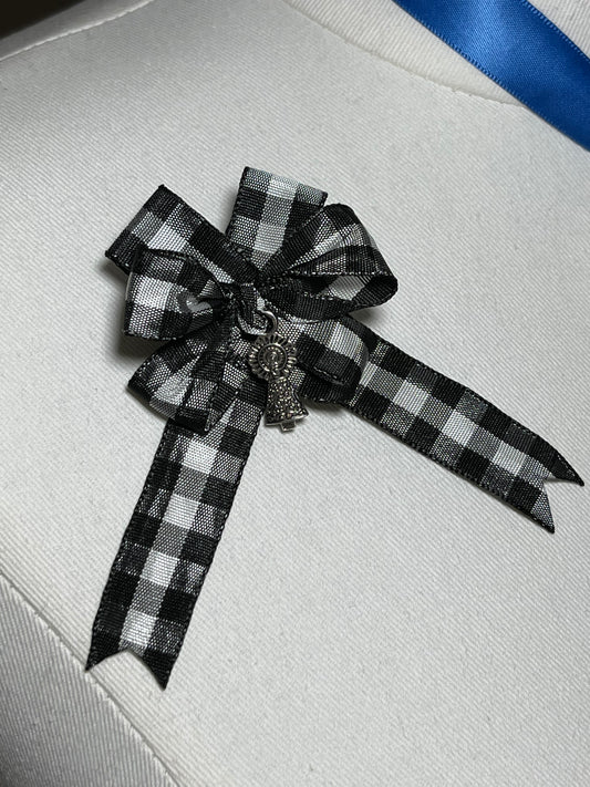 Medalla Caramba lazo Virgen del Pilar en color plata